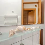 Romantic Oasis * 扎达尔