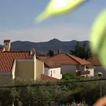 公寓 Romantic Oasis 扎达尔