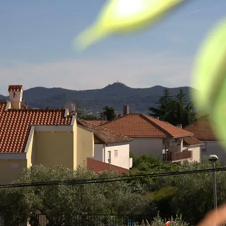 公寓 Romantic Oasis 扎达尔