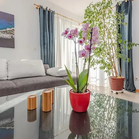 Romantic Oasis * Ζαντάρ