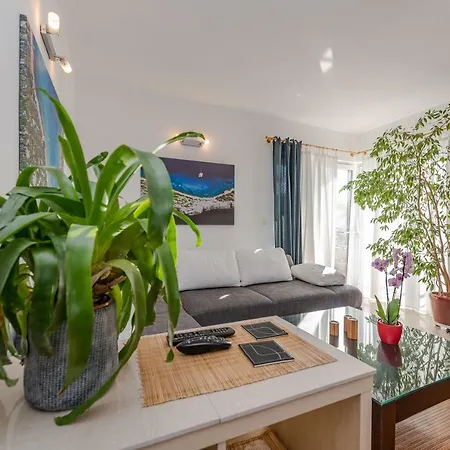 Romantic Oasis * Ζαντάρ